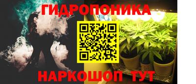 дурь Новодвинск